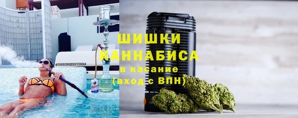 индика Карталы