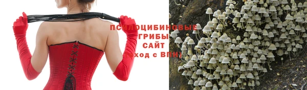 ALPHA-PVP Касимов