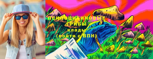 индика Карталы