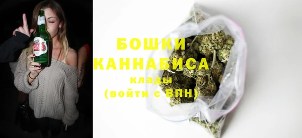 индика Карталы