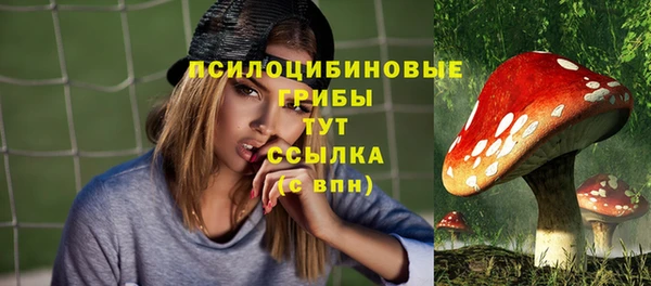 индика Карталы