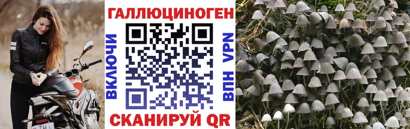 Псилоцибиновые грибы Psilocybine cubensis  Купить закладки  Алапаевск 